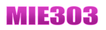 MIE303